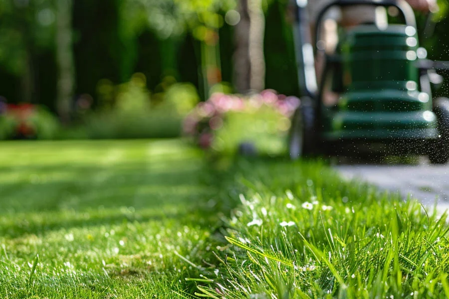 lawn mowers deals